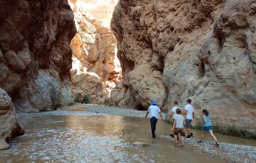 Epic Trek Through the Monkey Fingers Canyons – Dades Gorges Adventure