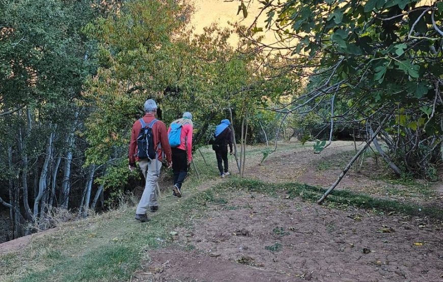 Epic Trek Through the Monkey Fingers Canyons – Dades Gorges Adventure