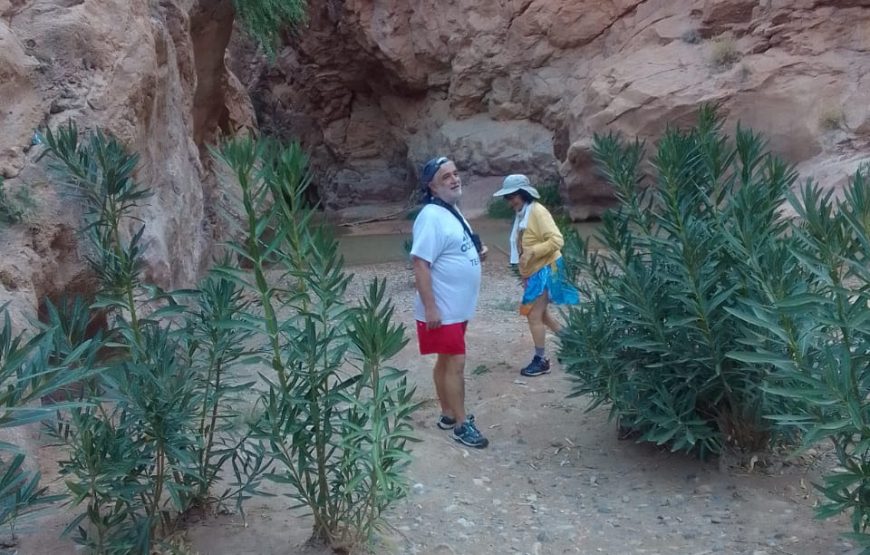 Epic Trek Through the Monkey Fingers Canyons – Dades Gorges Adventure